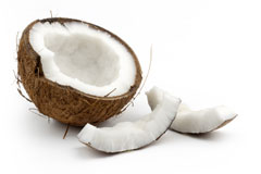 Wholesale Organic Dried Coconut